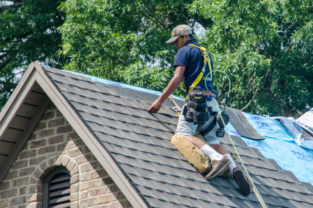 Best Local Roofing Companies  in Siena College, NY
